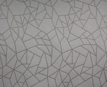 ลายกราฟฟิก (Takerin Gray)